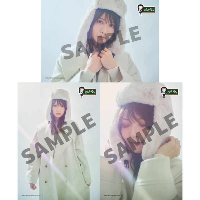 ブロマイドセットD | May'n Official Store